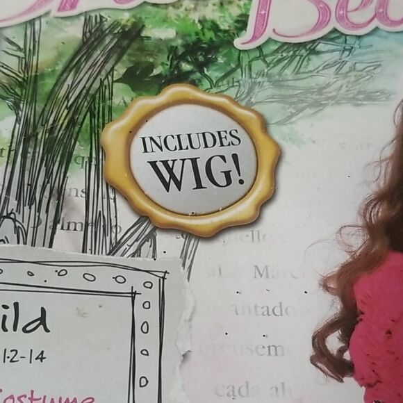 BRIAR BEAUTY NWOT COSTUME CHILD SZ LARGE 12-14 - Picture 3 of 5